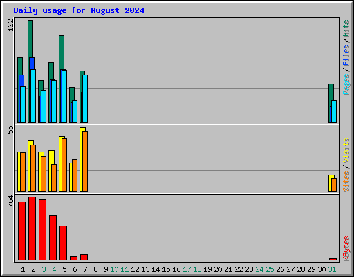 Daily usage for August 2024