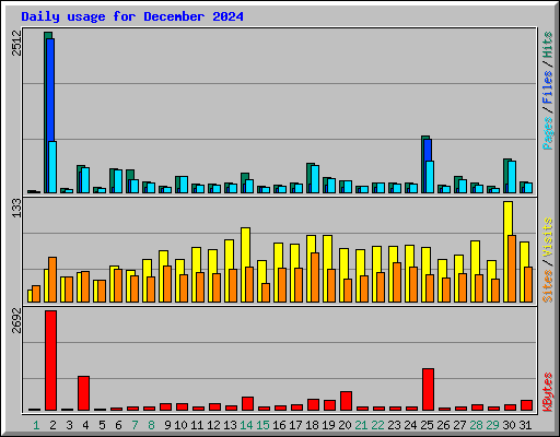 Daily usage for December 2024