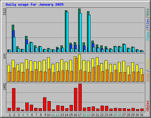 Daily usage for January 2025