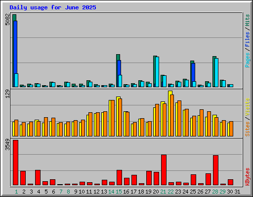 Daily usage for June 2025