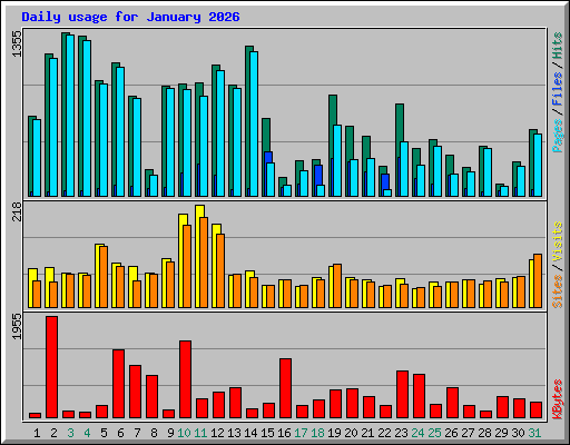 Daily usage for January 2026