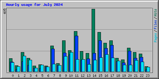 Hourly usage for July 2024