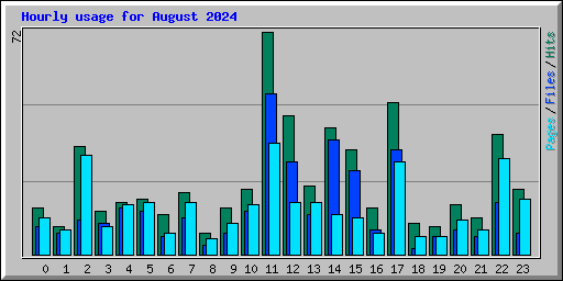 Hourly usage for August 2024