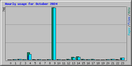 Hourly usage for October 2024