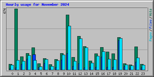 Hourly usage for November 2024
