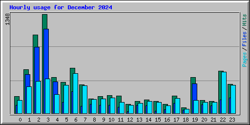 Hourly usage for December 2024