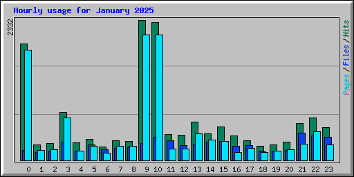 Hourly usage for January 2025