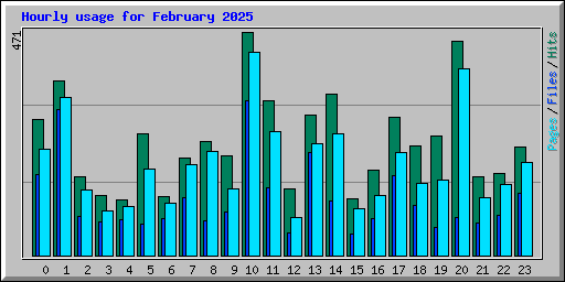 Hourly usage for February 2025