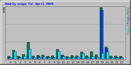 Hourly usage for April 2025
