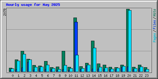 Hourly usage for May 2025