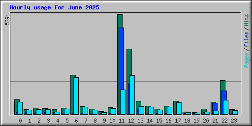 Hourly usage for June 2025