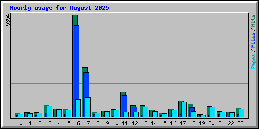 Hourly usage for August 2025