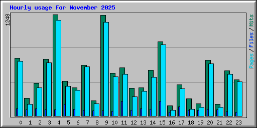 Hourly usage for November 2025