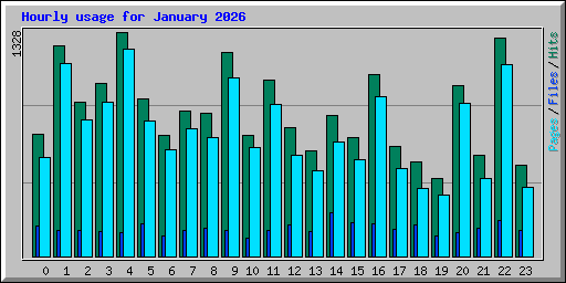 Hourly usage for January 2026
