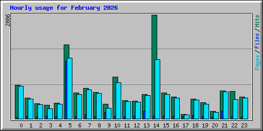 Hourly usage for February 2026
